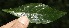  ( - BioBot10132)  @11 [ ] Copyright (2010) Unspecified Unspecified