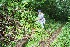  ( - BioBot10134)  @11 [ ] Copyright (2010) Unspecified Unspecified