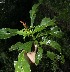 ( - BioBot10134)  @11 [ ] Copyright (2010) Unspecified Unspecified