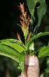  ( - BioBot10134)  @11 [ ] Copyright (2010) Unspecified Unspecified