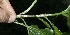 ( - BioBot10134)  @11 [ ] Copyright (2010) Unspecified Unspecified