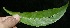 ( - BioBot10134)  @11 [ ] Copyright (2010) Unspecified Unspecified