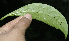  ( - BioBot10134)  @11 [ ] Copyright (2010) Unspecified Unspecified