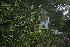  ( - BioBot10135)  @11 [ ] Copyright (2010) Unspecified Unspecified