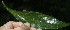  ( - BioBot10135)  @12 [ ] Copyright (2010) Unspecified Unspecified