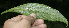  ( - BioBot10135)  @12 [ ] Copyright (2010) Unspecified Unspecified