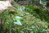  ( - BioBot10152)  @11 [ ] Copyright (2010) Unspecified Unspecified