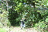  ( - BioBot10192)  @11 [ ] CreativeCommons - Attribution Non-Commercial Share-Alike (2011) Daniel H. Janzen Guanacaste Dry Forest Conservation Fund