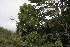  ( - BioBot10195)  @11 [ ] CreativeCommons - Attribution Non-Commercial Share-Alike (2011) Daniel H. Janzen Guanacaste Dry Forest Conservation Fund