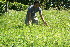  ( - BioBot10218)  @11 [ ] CreativeCommons - Attribution Non-Commercial Share-Alike (2011) Daniel H. Janzen Guanacaste Dry Forest Conservation Fund
