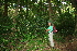  ( - BioBot10223)  @11 [ ] CreativeCommons - Attribution Non-Commercial Share-Alike (2011) Daniel H. Janzen Guanacaste Dry Forest Conservation Fund