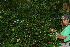  ( - BioBot10223)  @11 [ ] CreativeCommons - Attribution Non-Commercial Share-Alike (2011) Daniel H. Janzen Guanacaste Dry Forest Conservation Fund