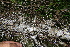  ( - BioBot10252)  @11 [ ] CreativeCommons - Attribution Non-Commercial Share-Alike (2011) Daniel H. Janzen Guanacaste Dry Forest Conservation Fund