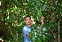 ( - BioBot10261)  @11 [ ] CreativeCommons - Attribution Non-Commercial Share-Alike (2011) Daniel H. Janzen Guanacaste Dry Forest Conservation Fund
