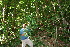  ( - BioBot10261)  @11 [ ] CreativeCommons - Attribution Non-Commercial Share-Alike (2011) Daniel H. Janzen Guanacaste Dry Forest Conservation Fund