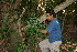  ( - BioBot10262)  @11 [ ] CreativeCommons - Attribution Non-Commercial Share-Alike (2011) Daniel H. Janzen Guanacaste Dry Forest Conservation Fund