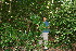  ( - BioBot10263)  @11 [ ] CreativeCommons - Attribution Non-Commercial Share-Alike (2011) Daniel H. Janzen Guanacaste Dry Forest Conservation Fund