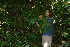  ( - BioBot10263)  @11 [ ] CreativeCommons - Attribution Non-Commercial Share-Alike (2011) Daniel H. Janzen Guanacaste Dry Forest Conservation Fund