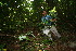  ( - BioBot10270)  @11 [ ] CreativeCommons - Attribution Non-Commercial Share-Alike (2011) Daniel H. Janzen Guanacaste Dry Forest Conservation Fund