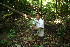  ( - BioBot10306)  @11 [ ] CreativeCommons - Attribution Non-Commercial Share-Alike (2011) Daniel H. Janzen Guanacaste Dry Forest Conservation Fund