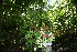  ( - BioBot10307)  @11 [ ] CreativeCommons - Attribution Non-Commercial Share-Alike (2011) Daniel H. Janzen Guanacaste Dry Forest Conservation Fund