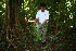  ( - BioBot10314)  @11 [ ] CreativeCommons - Attribution Non-Commercial Share-Alike (2011) Daniel H. Janzen Guanacaste Dry Forest Conservation Fund