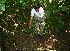 ( - BioBot10318)  @11 [ ] CreativeCommons - Attribution Non-Commercial Share-Alike (2011) Daniel H. Janzen Guanacaste Dry Forest Conservation Fund