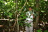  ( - BioBot10334)  @11 [ ] CreativeCommons - Attribution Non-Commercial Share-Alike (2011) Daniel H. Janzen Guanacaste Dry Forest Conservation Fund