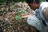  ( - BioBot10427)  @11 [ ] CreativeCommons - Attribution Non-Commercial Share-Alike (2011) Daniel H. Janzen Guanacaste Dry Forest Conservation Fund