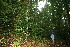  ( - BioBot10501)  @11 [ ] CreativeCommons - Attribution Non-Commercial Share-Alike (2011) Daniel H. Janzen Guanacaste Dry Forest Conservation Fund