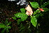  ( - BioBot10508)  @11 [ ] CreativeCommons - Attribution Non-Commercial Share-Alike (2011) Daniel H. Janzen Guanacaste Dry Forest Conservation Fund