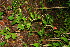  ( - BioBot10510)  @11 [ ] CreativeCommons - Attribution Non-Commercial Share-Alike (2011) Daniel H. Janzen Guanacaste Dry Forest Conservation Fund
