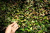  ( - BioBot10527)  @11 [ ] CreativeCommons - Attribution Non-Commercial Share-Alike (2011) Daniel H. Janzen Guanacaste Dry Forest Conservation Fund