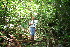  ( - BioBot10538)  @11 [ ] CreativeCommons - Attribution Non-Commercial Share-Alike (2011) Daniel H. Janzen Guanacaste Dry Forest Conservation Fund