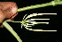  ( - BioBot10588)  @11 [ ] CreativeCommons - Attribution Non-Commercial Share-Alike (2011) Daniel H. Janzen Guanacaste Dry Forest Conservation Fund