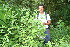  ( - BioBot10600)  @11 [ ] CreativeCommons - Attribution Non-Commercial Share-Alike (2011) Daniel H. Janzen Guanacaste Dry Forest Conservation Fund