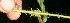  ( - BioBot10624)  @11 [ ] CreativeCommons - Attribution Non-Commercial Share-Alike (2010) Daniel H. Janzen Guanacaste Dry Forest Conservation Fund