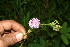 ( - BioBot10625)  @11 [ ] CreativeCommons - Attribution Non-Commercial Share-Alike (2010) Daniel H. Janzen Guanacaste Dry Forest Conservation Fund