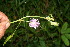  ( - BioBot10625)  @11 [ ] CreativeCommons - Attribution Non-Commercial Share-Alike (2010) Daniel H. Janzen Guanacaste Dry Forest Conservation Fund