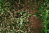 ( - BioBot10739)  @11 [ ] CreativeCommons - Attribution Non-Commercial Share-Alike (2010) Daniel H. Janzen Guanacaste Dry Forest Conservation Fund