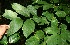  ( - BioBot10759)  @11 [ ] CreativeCommons - Attribution Non-Commercial Share-Alike (2010) Daniel H. Janzen Guanacaste Dry Forest Conservation Fund