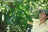  ( - BioBot10767)  @11 [ ] CreativeCommons - Attribution Non-Commercial Share-Alike (2010) Daniel H. Janzen Guanacaste Dry Forest Conservation Fund