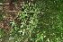  ( - BioBot10834)  @11 [ ] CreativeCommons - Attribution Non-Commercial Share-Alike (2010) Daniel H. Janzen Guanacaste Dry Forest Conservation Fund