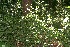  ( - BioBot10873)  @11 [ ] CreativeCommons - Attribution Non-Commercial Share-Alike (2010) Daniel H. Janzen Guanacaste Dry Forest Conservation Fund