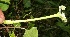  ( - BioBot10996)  @11 [ ] CreativeCommons - Attribution Non-Commercial Share-Alike (2010) Daniel H. Janzen Guanacaste Dry Forest Conservation Fund