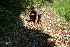  ( - BioBot11000)  @11 [ ] CreativeCommons - Attribution Non-Commercial Share-Alike (2010) Daniel H. Janzen Guanacaste Dry Forest Conservation Fund