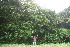  ( - BioBot11022)  @11 [ ] CreativeCommons - Attribution Non-Commercial Share-Alike (2010) Daniel H. Janzen Guanacaste Dry Forest Conservation Fund