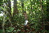  ( - BioBot11028)  @11 [ ] CreativeCommons - Attribution Non-Commercial Share-Alike (2010) Daniel H. Janzen Guanacaste Dry Forest Conservation Fund