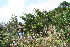  ( - BioBot11030)  @11 [ ] CreativeCommons - Attribution Non-Commercial Share-Alike (2010) Daniel H. Janzen Guanacaste Dry Forest Conservation Fund