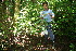  (Heteropterys lauriolia - BioBot11125)  @11 [ ] CreativeCommons - Attribution Non-Commercial Share-Alike (2010) Daniel H. Janzen Guanacaste Dry Forest Conservation Fund